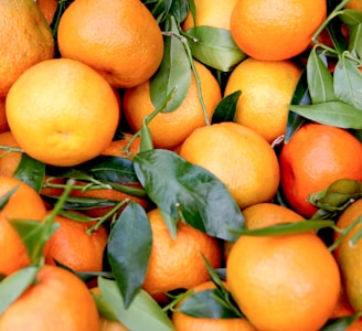 bunch of orange fruits