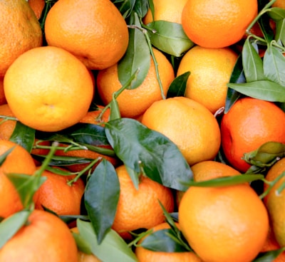 bunch of orange fruits