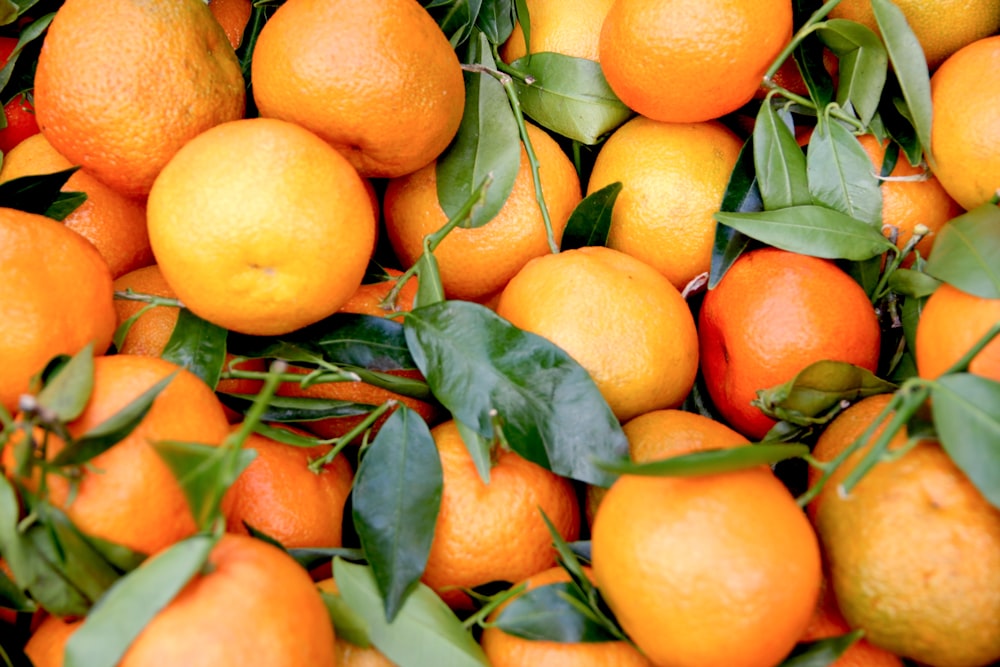 bunch of orange fruits