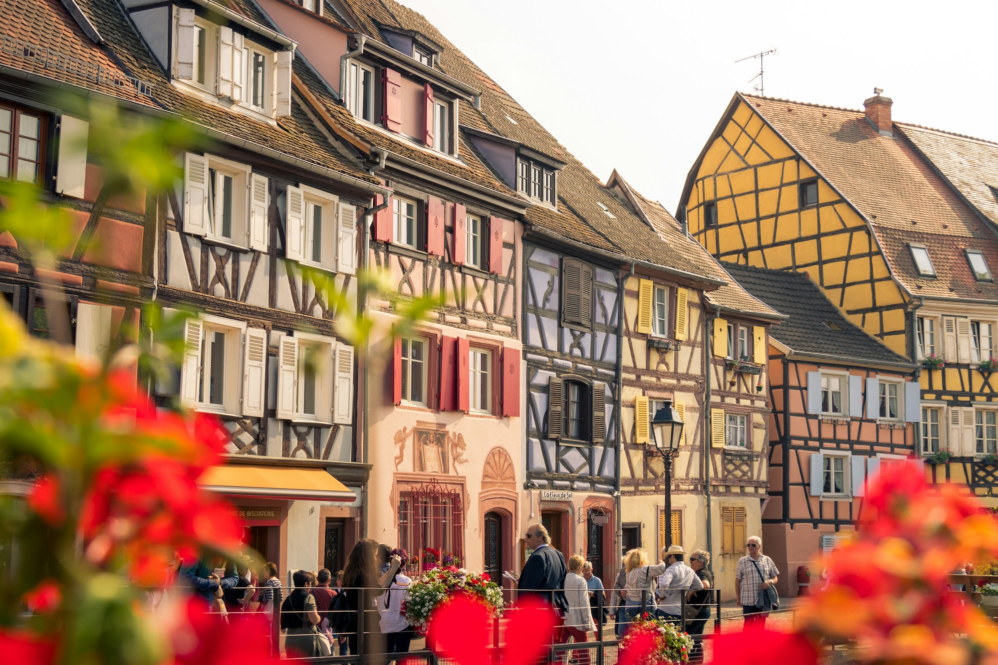 What to See in Colmar: A Practical Travel Guide