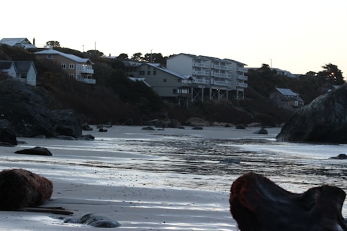 A coastal area featuring a sandy beach with large rocks and driftwood in the foreground. Residential buildings are situated on a hill in the background, surrounded by trees and foliage. The scene appears calm, with gentle waves and a subdued sky.