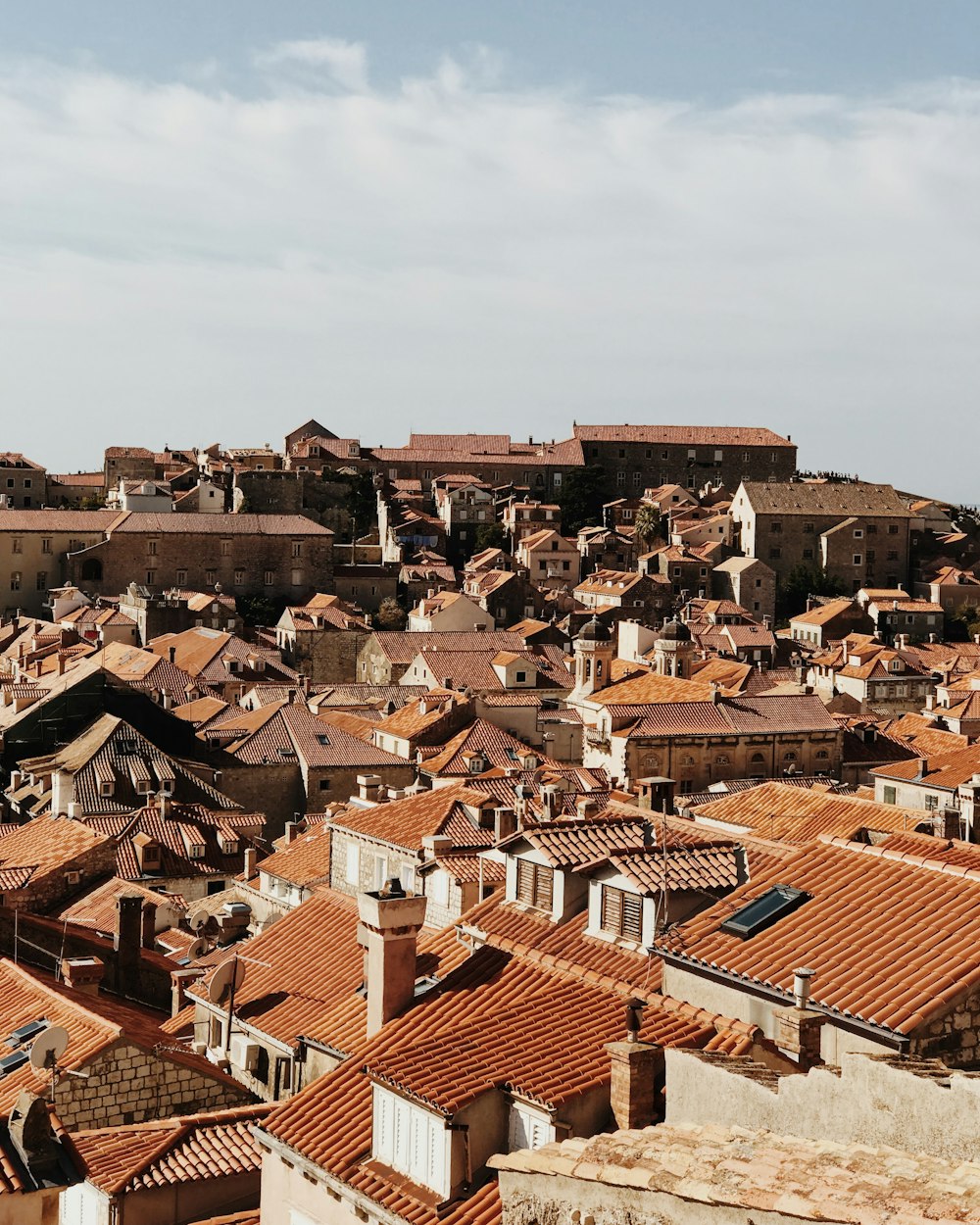 aerial view photography of village under cloudy sky