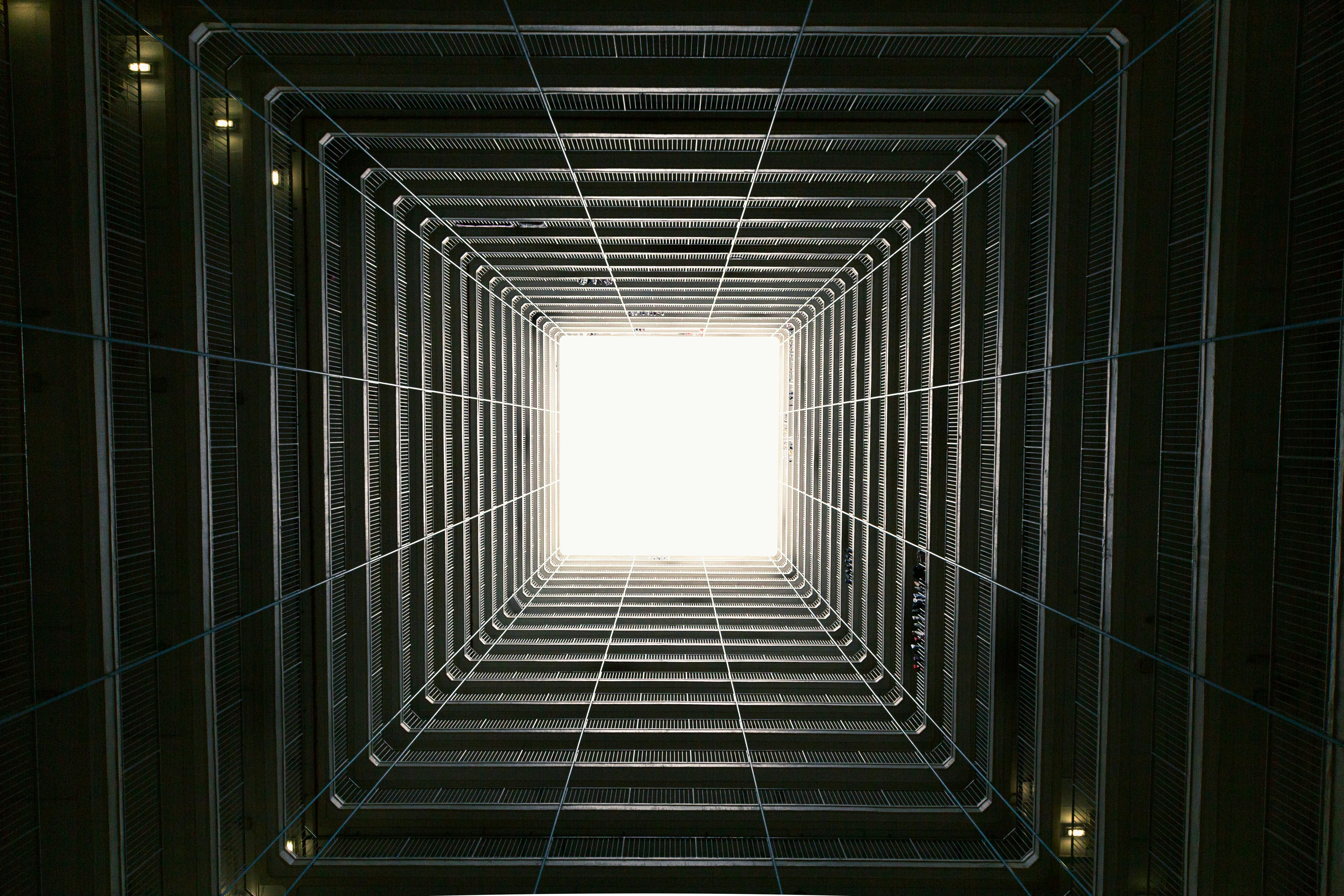 Photo by lysanderyuen