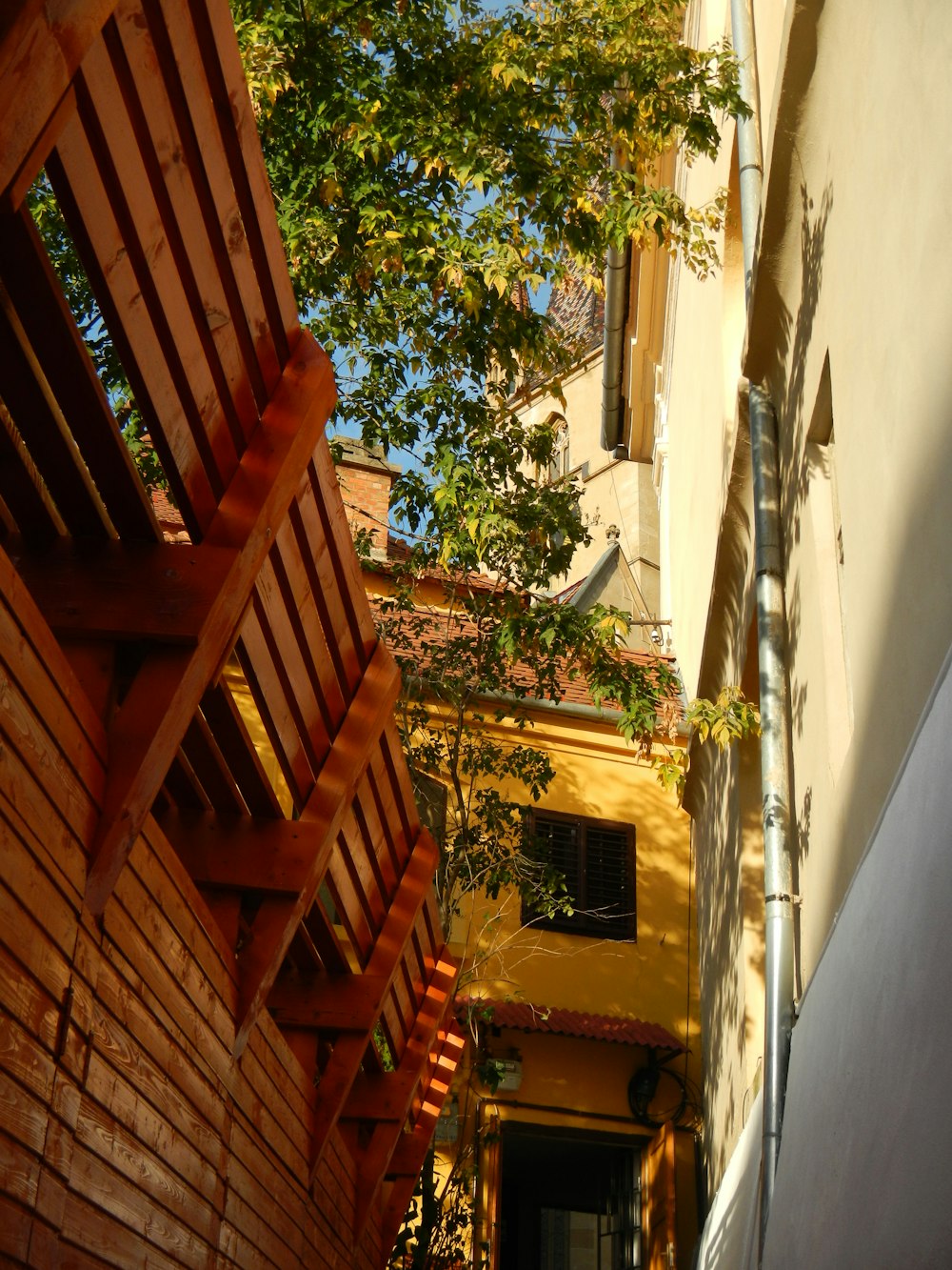 brown wooden bench beside building