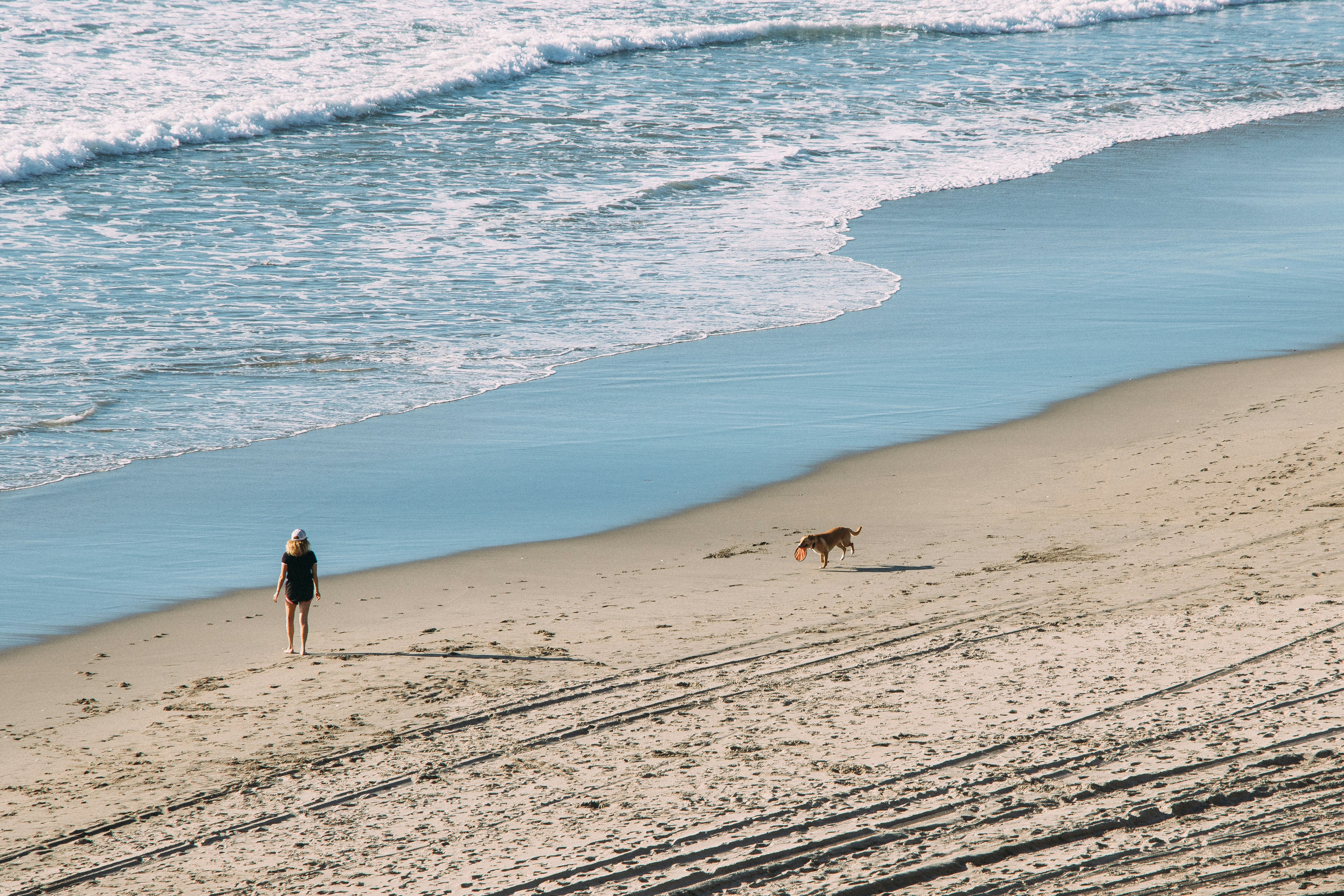 woman and dog at the beach