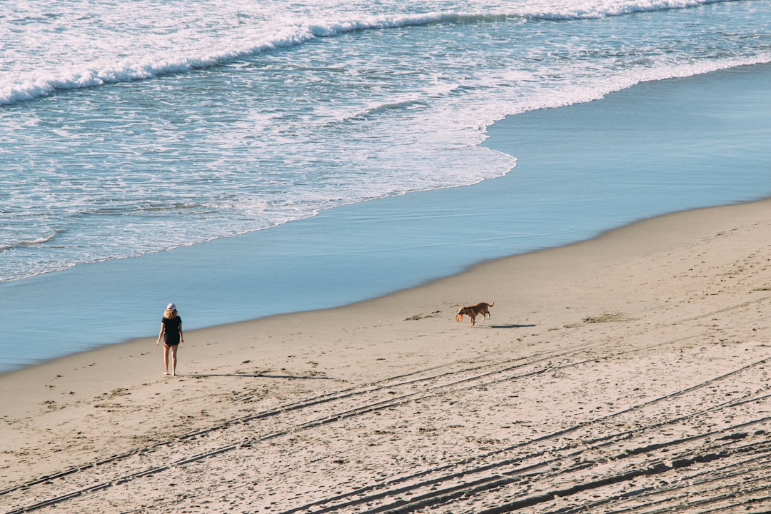 woman and dog at the beach,