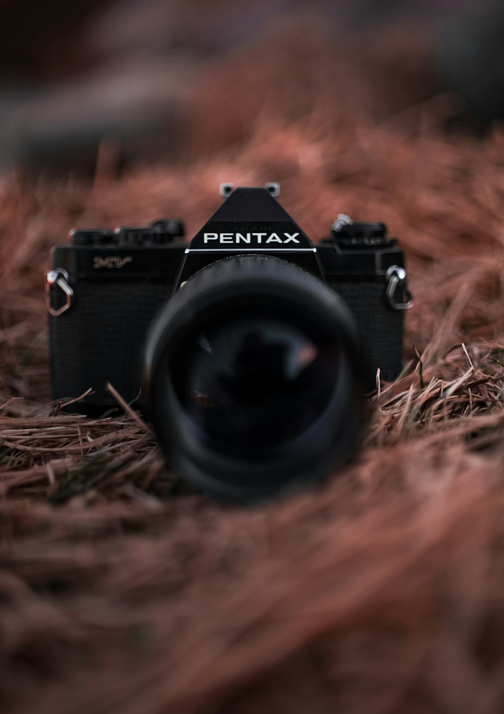 black Pentax MILC camera on top of brown grass