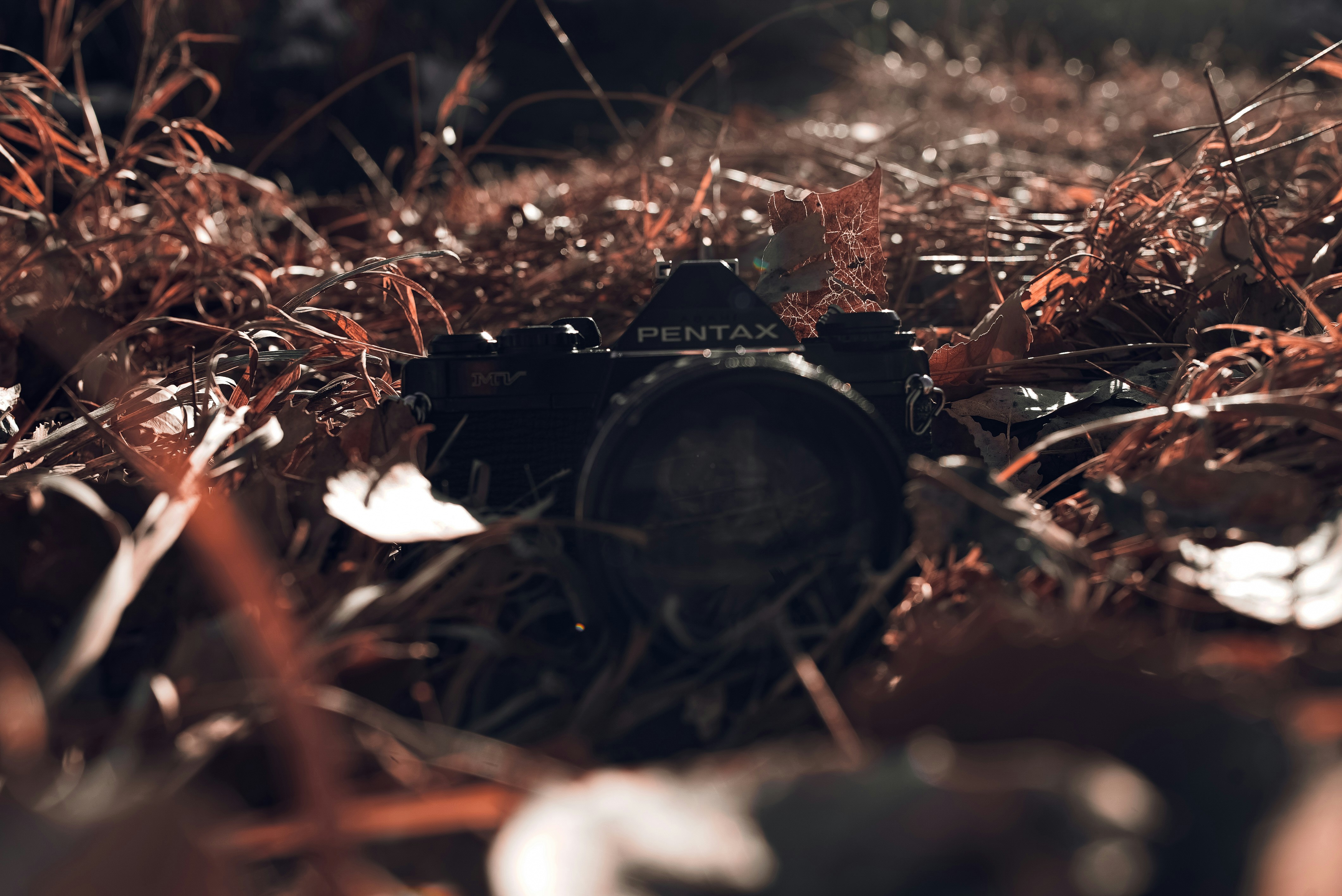 9 Tips With Ghost 2 Immobiliser Fitting Near Me