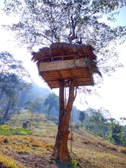A treehouse perched high in a large tree, surrounded by a lush, green landscape. The structure appears to be made of bamboo or wood with a thatched roof. Sunlight filters through the leaves, creating a serene and peaceful atmosphere.