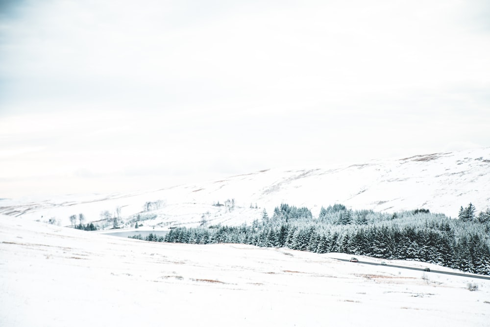 snow covered ground during daytime