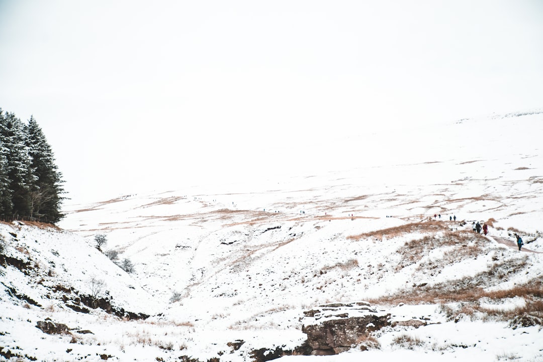 snow covered ground during daytime