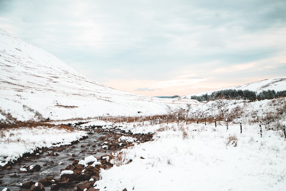 land covered in snow