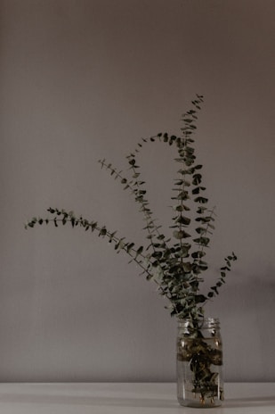 A minimalist arrangement of eucalyptus leaves and a diffuser releasing a gentle mist in a bright room.