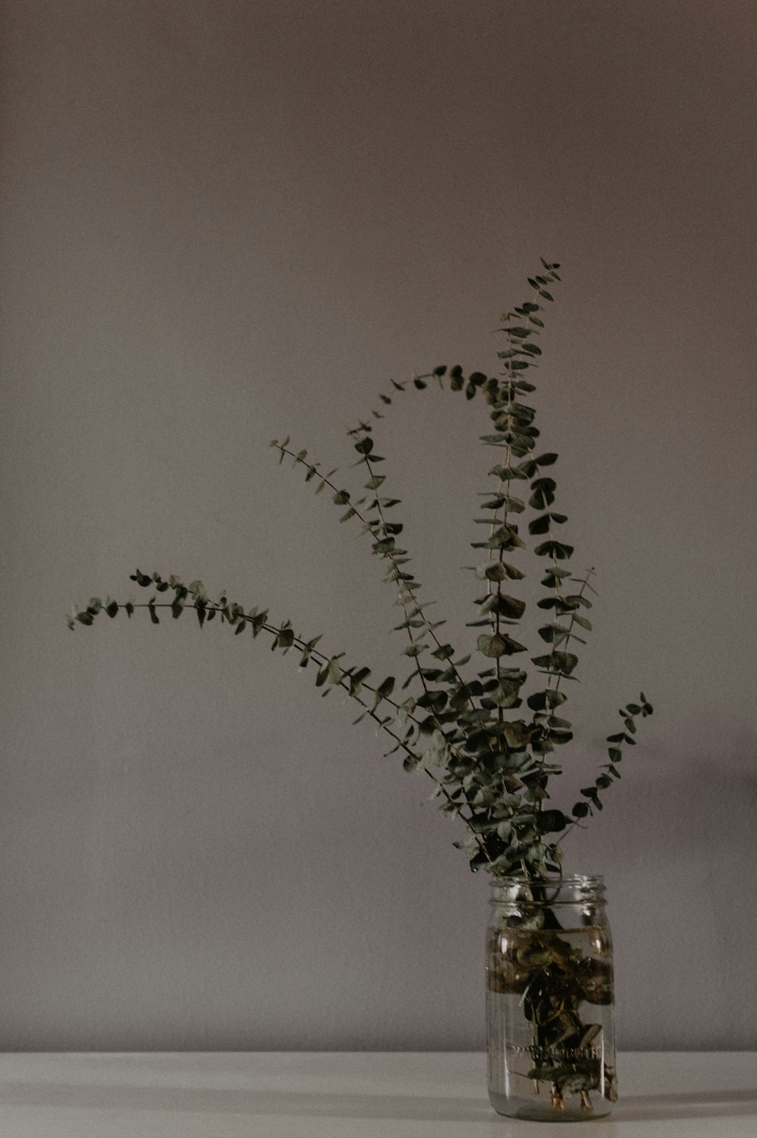 green plants on clear glass jar