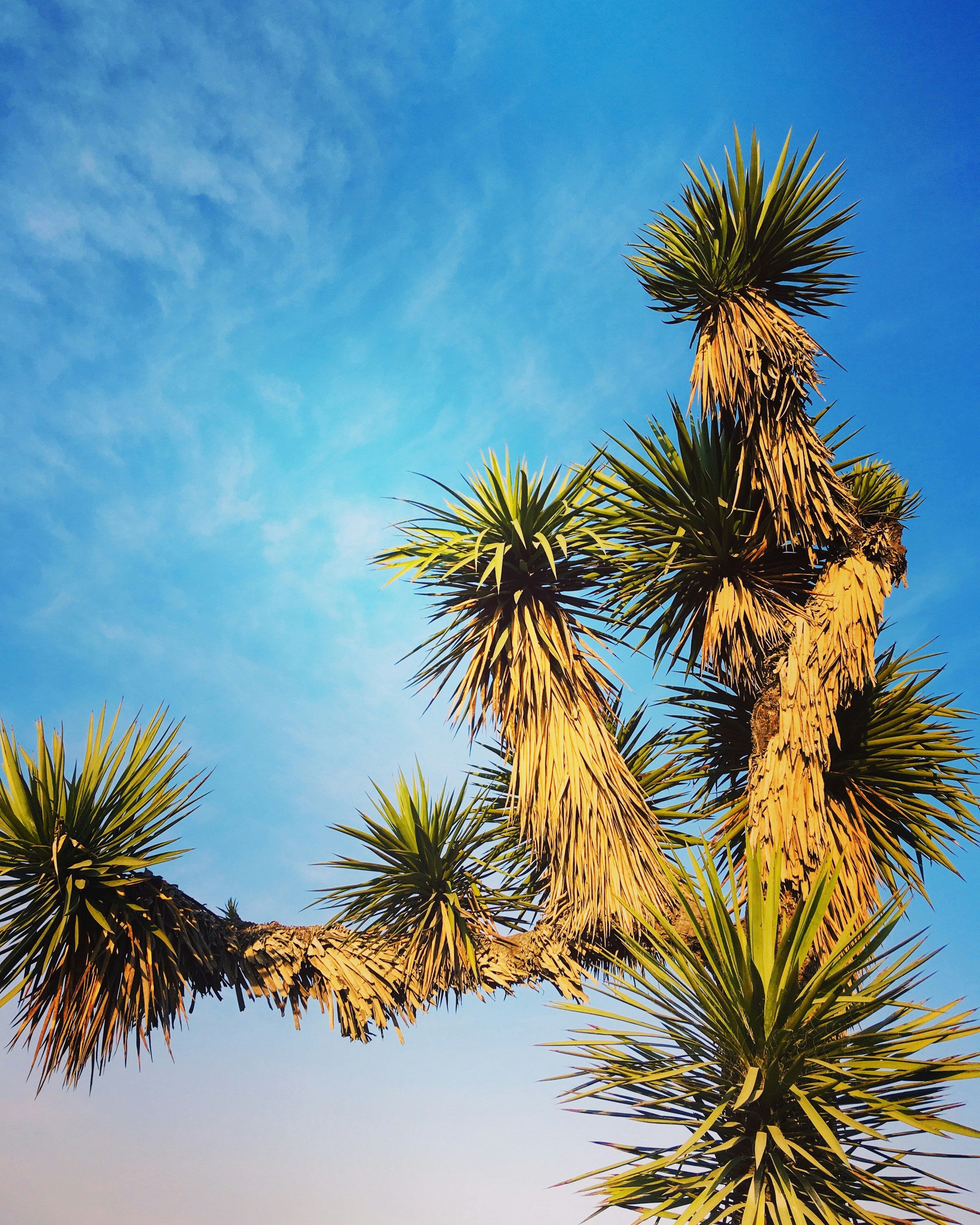 Photo by yisus_solis