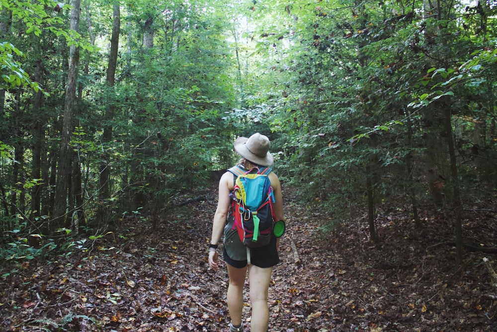 person walking towards trees during daytime