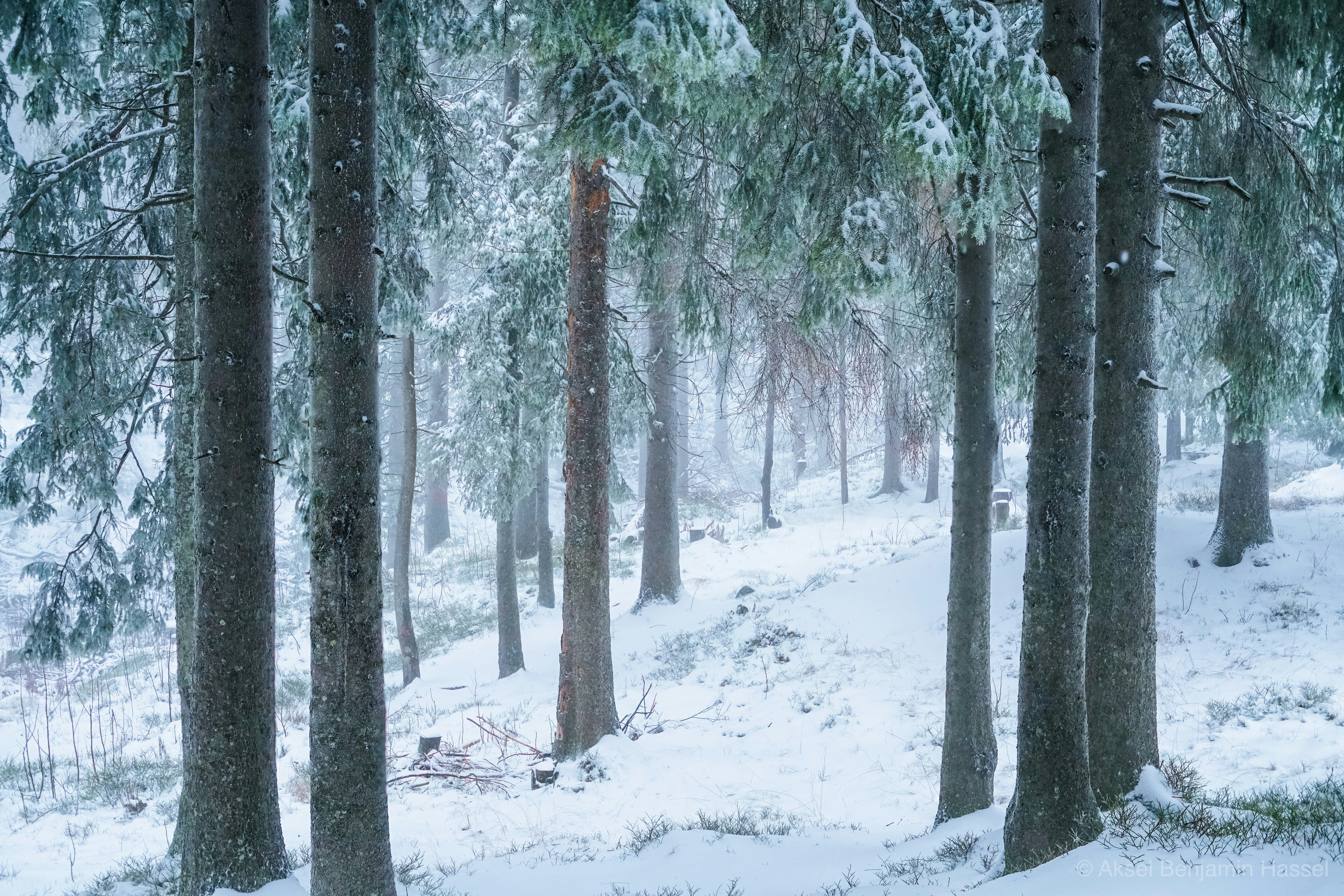 Photo by benjaminhassel