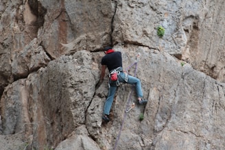 A person is climbing a vertical rock face, secured by ropes and climbing gear. The rocky surface is rugged and textured, displaying light and dark shades of gray and brown. The climber is wearing a black shirt, blue jeans, and a red harness with other climbing equipment attached.