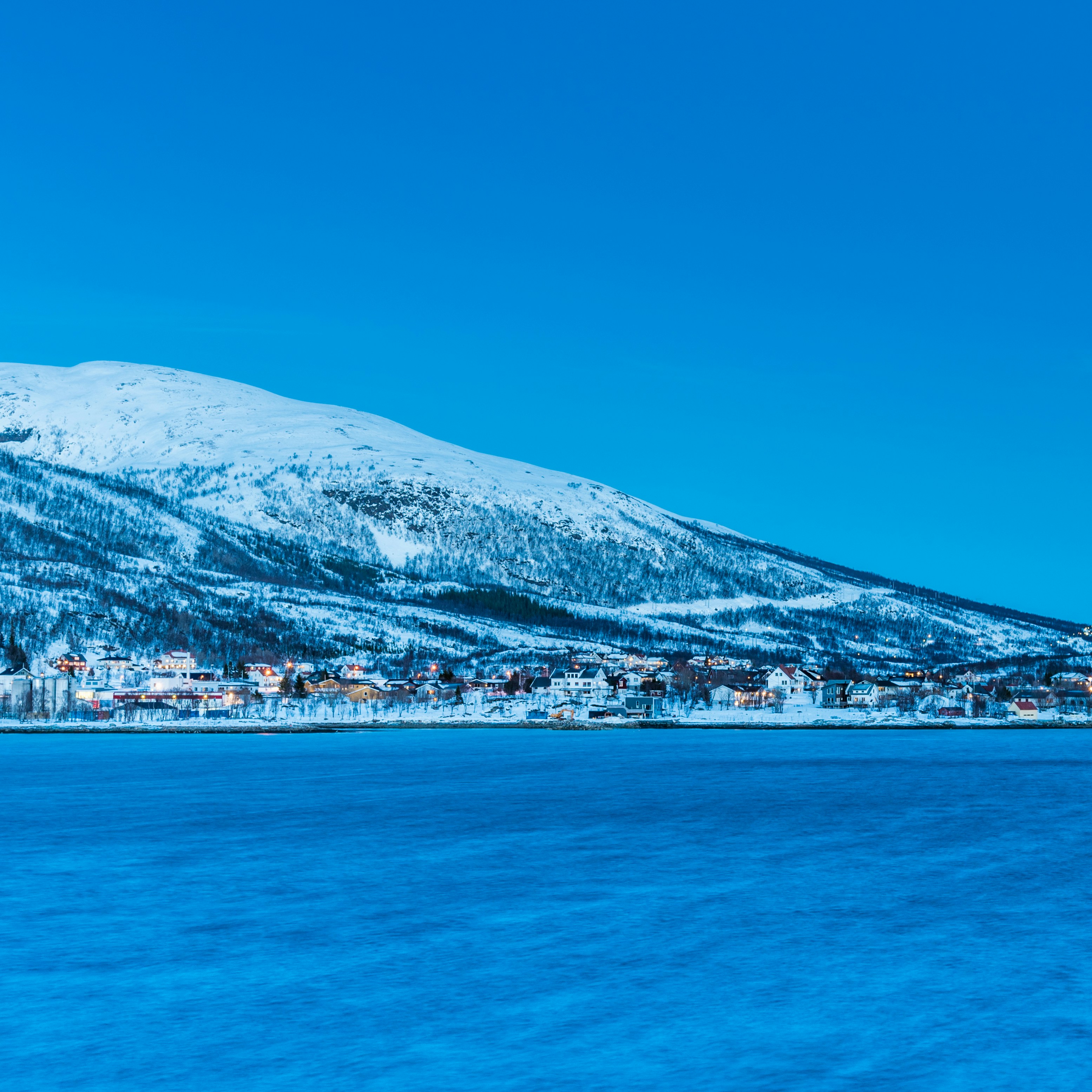 Photo by ludo_photos