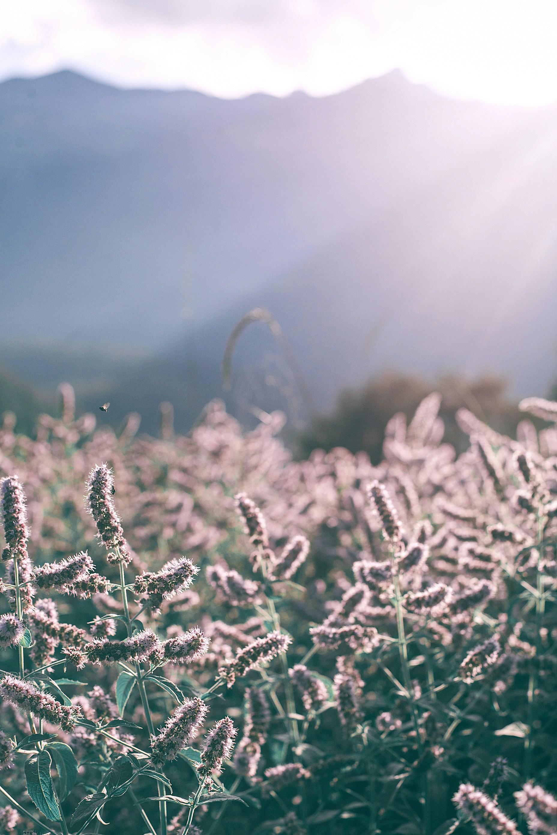 Photo by orlovamaria