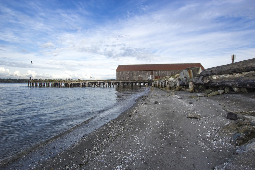 beach dock and seashore view