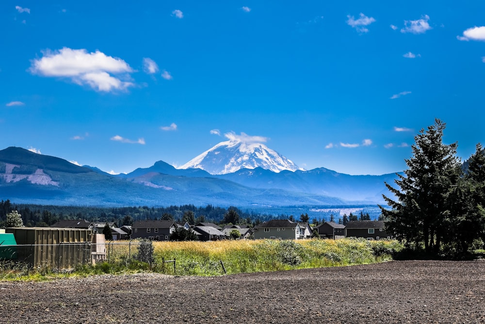 panoramic photo of snow-capped mountains and grass field