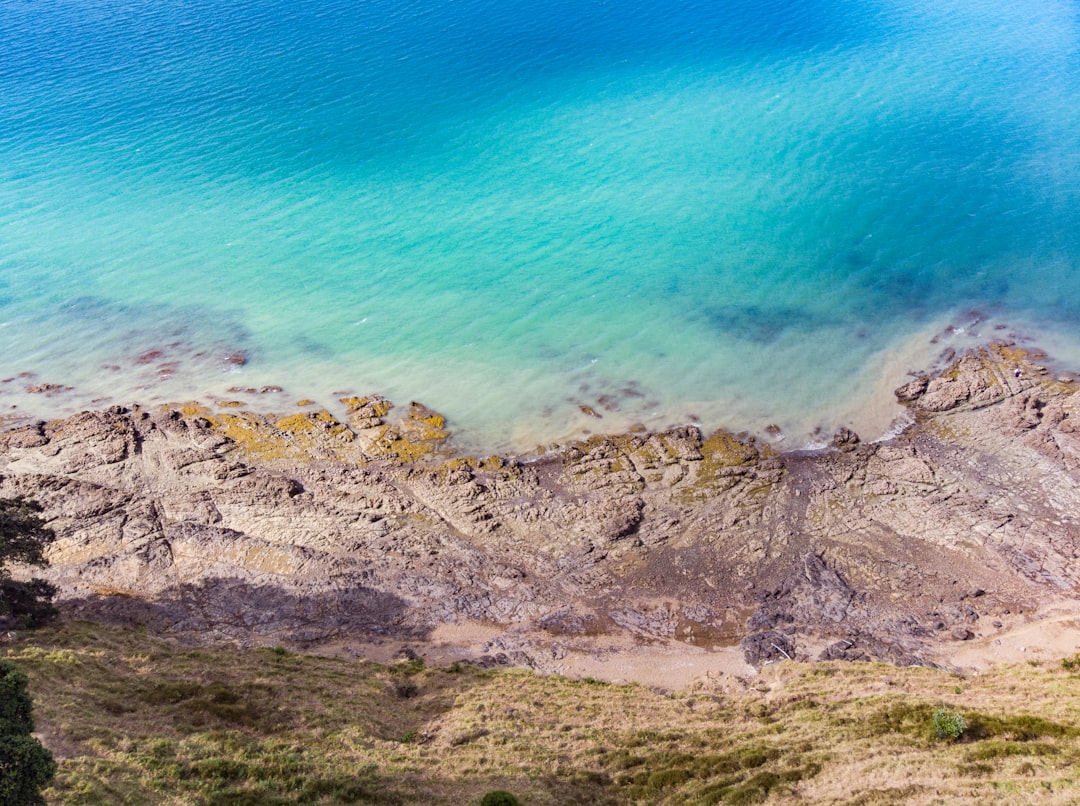 seashore near ocean during daytime