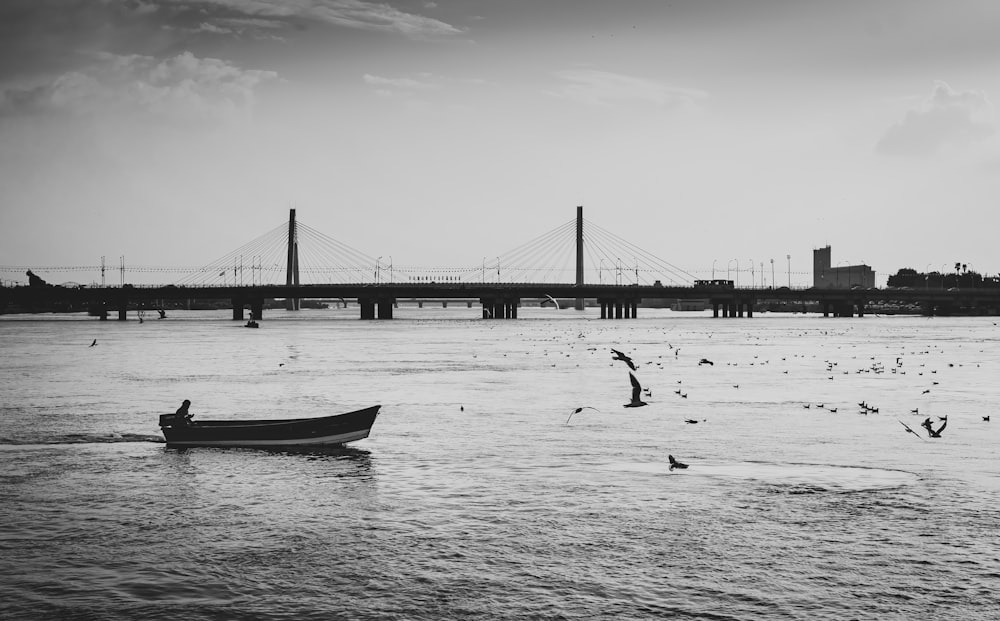 grayscale photography of birds above body of water near boat near gray cable-stayed bridge
