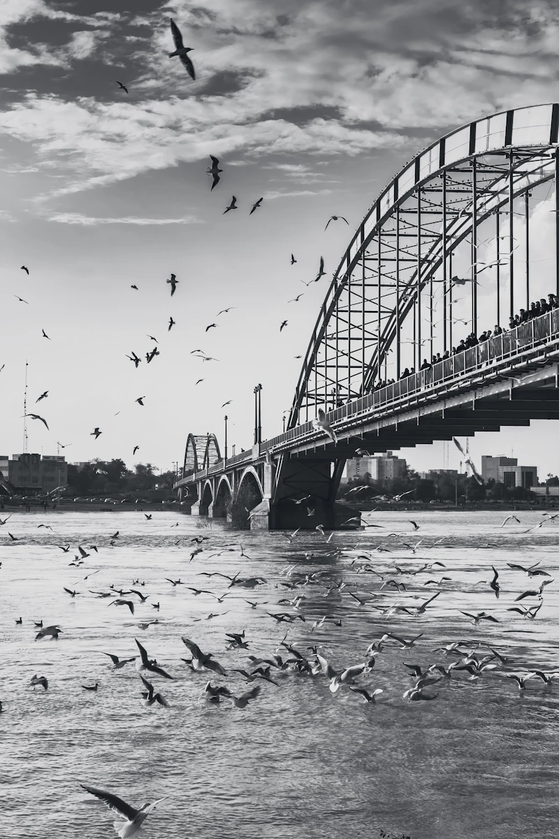 Photo by Ashkan Forouzani