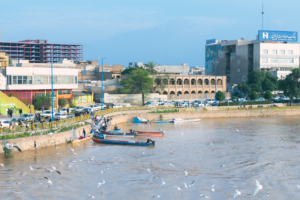 flock of birds flying near river