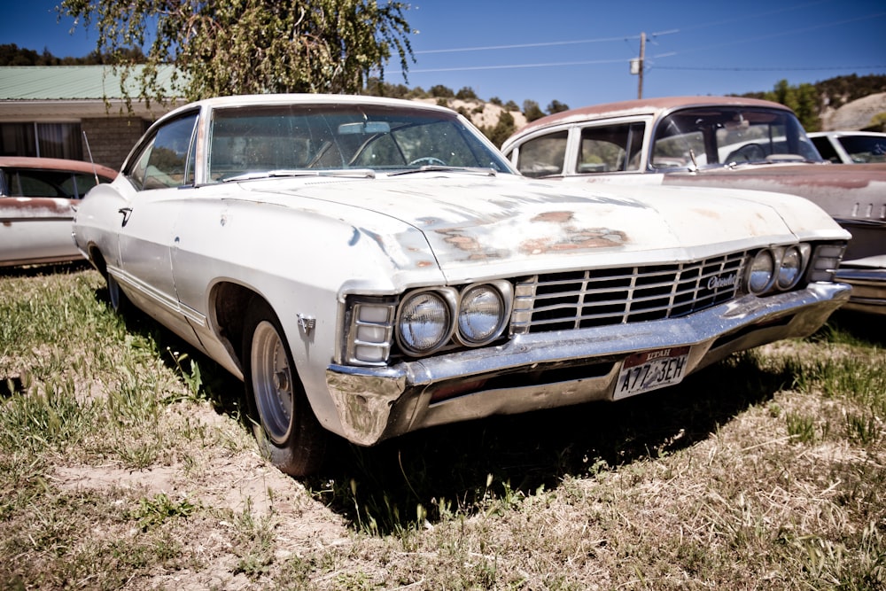 white classic Chevrolet coupe parked on grass beside brown classic sedan