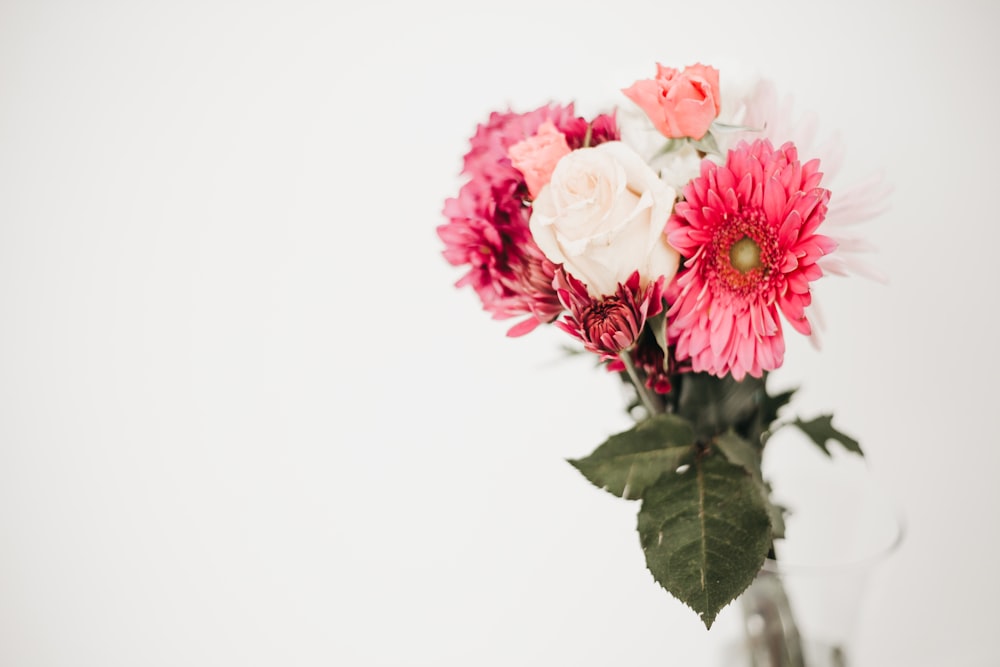 pink-petaled flower