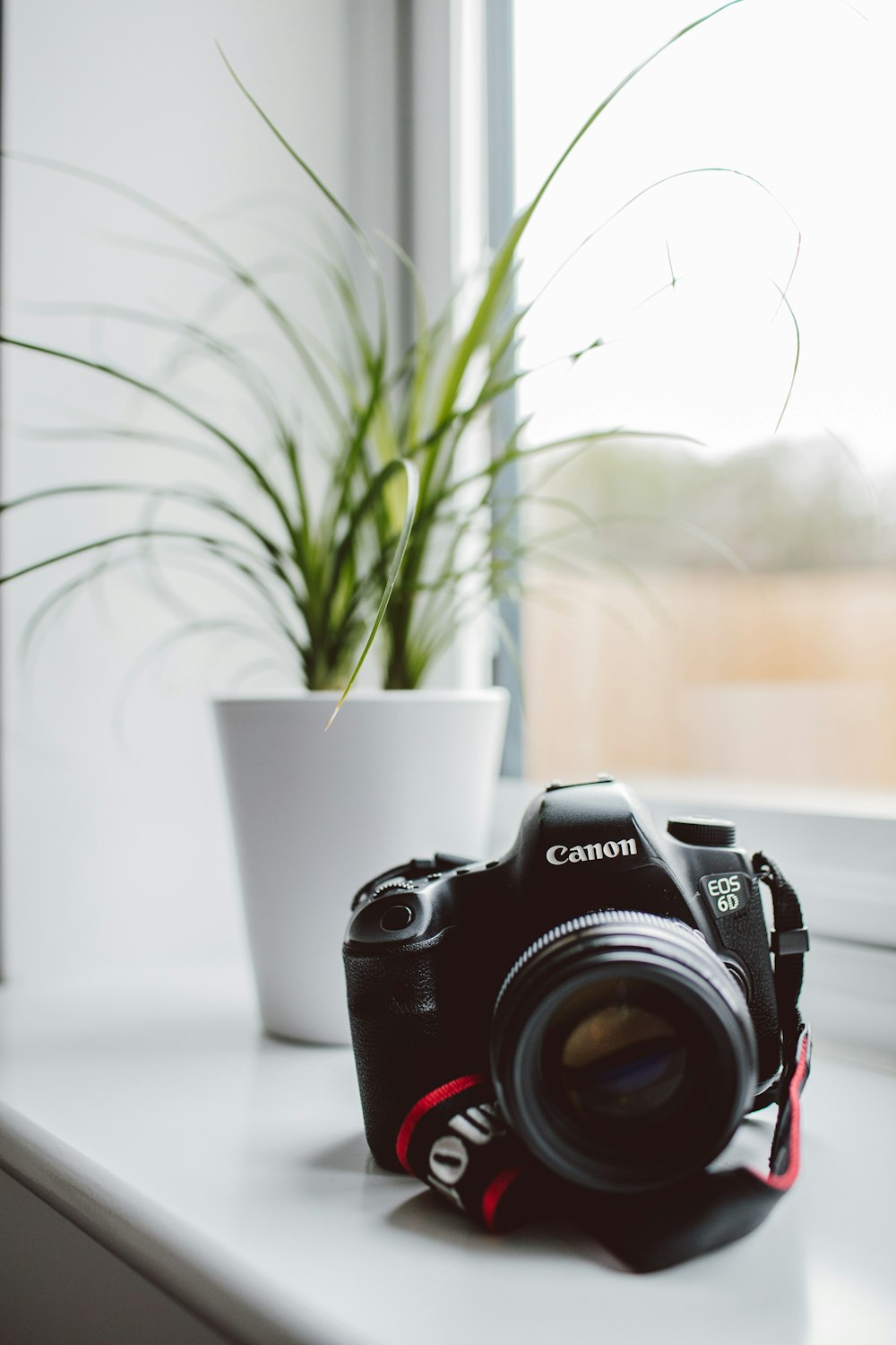 selective focus photography of Canon EOS 6D
