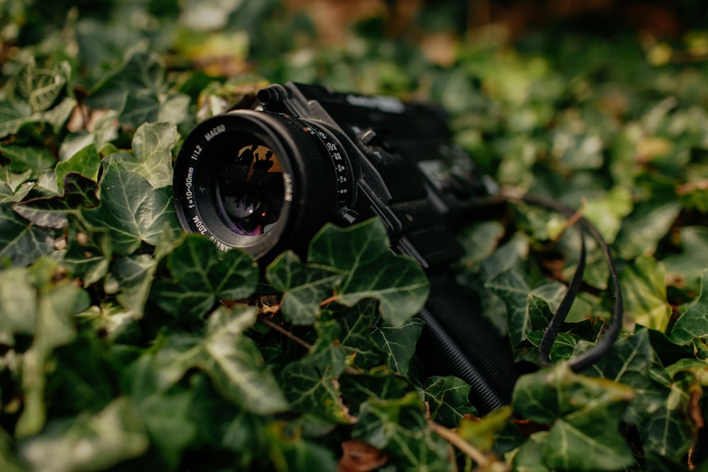 caméra noire sur l’herbe