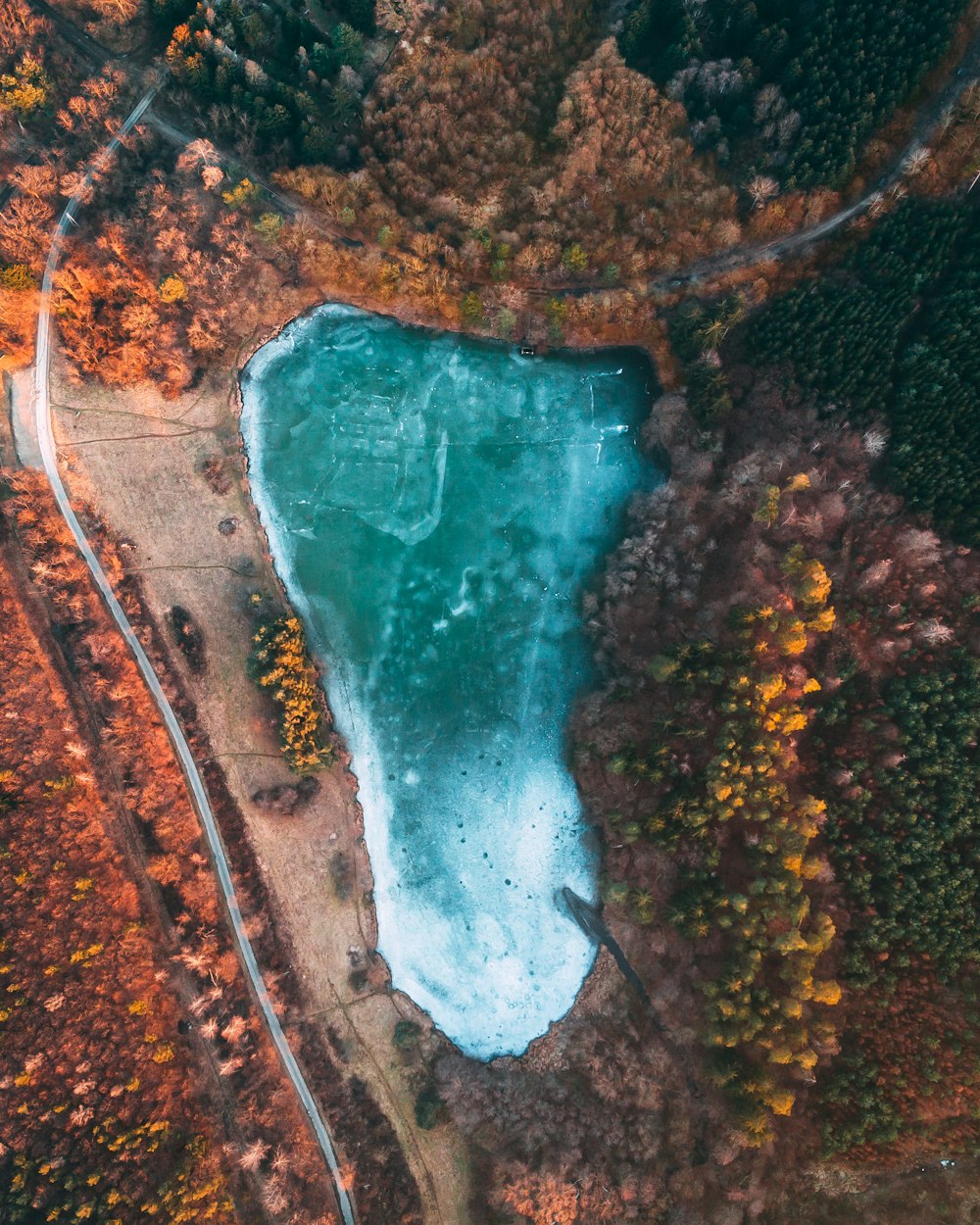 Vista aérea do lago cercado por árvores durante o dia