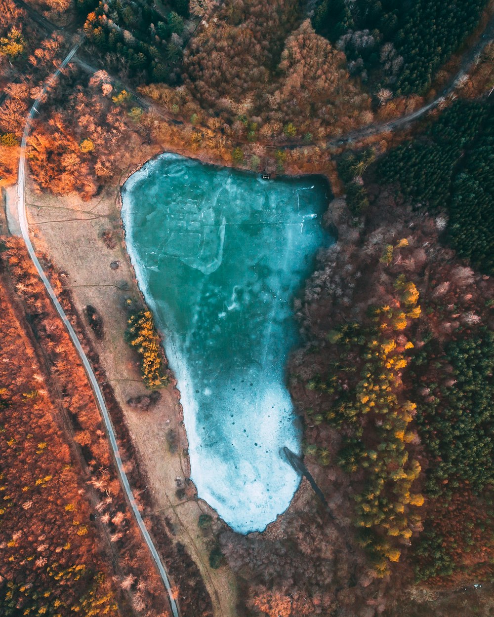 aerial view of lake surrounded by trees during daytime