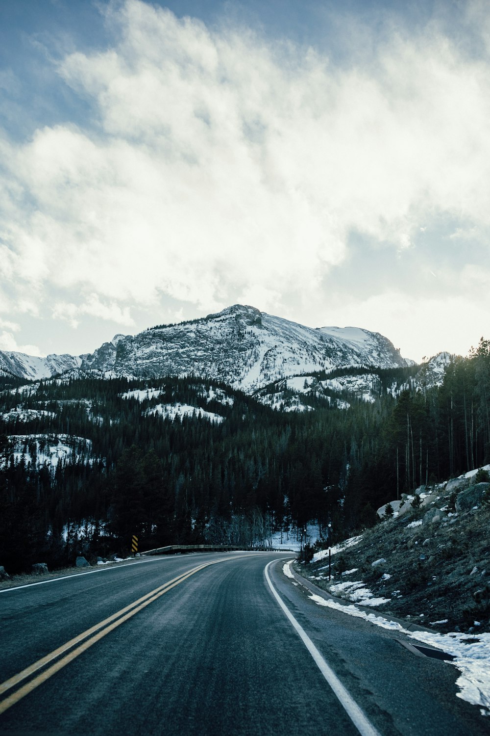 asphalt road between trees overlooking mountain range during daytime