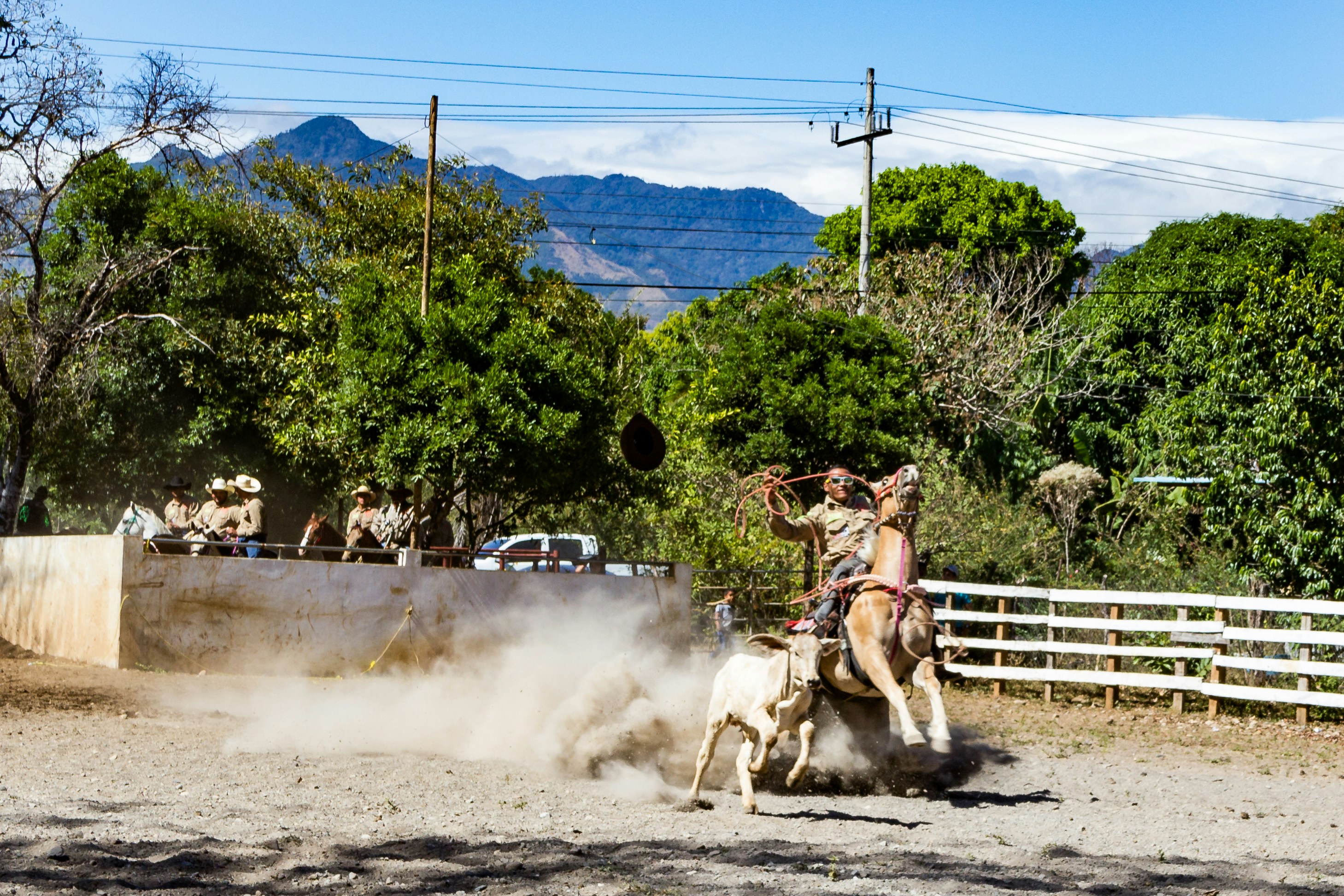 Ir entendendo como funciona