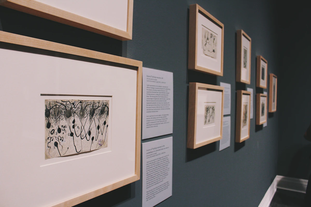 Neurological artwork representing the brain and its complex networks