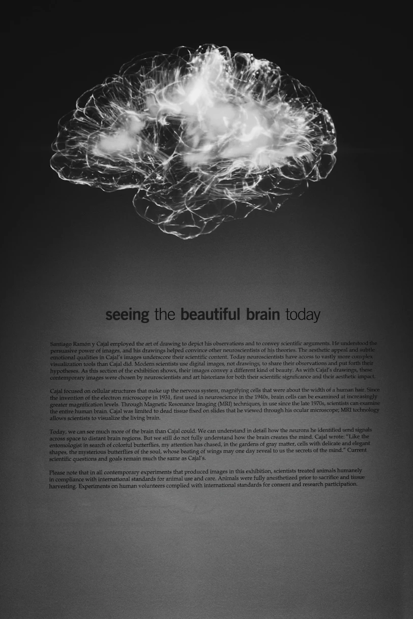 A glowing white neural network visualization of a human brain against a black background