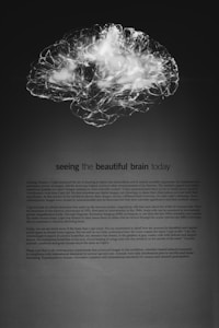 AI Research Papers