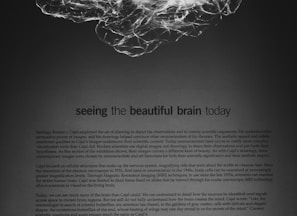 a black and white photo of a brain