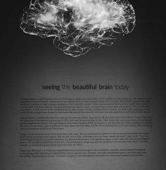 a black and white photo of a brain