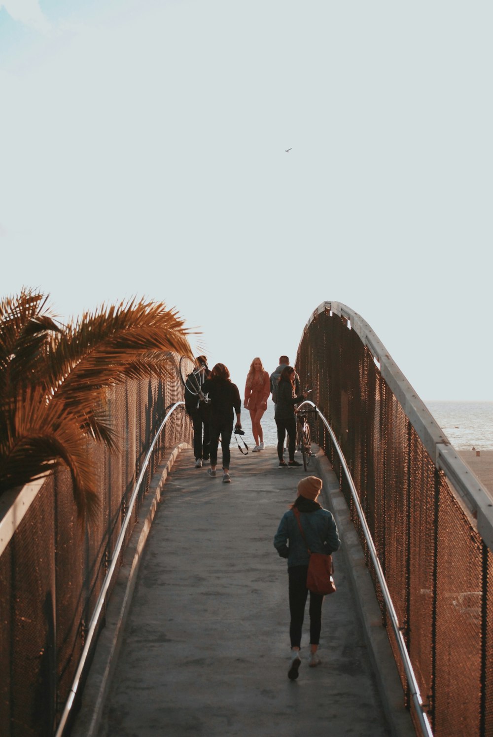 people walking on arch bridge