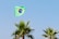 A Brazilian flag waves prominently on a flagpole, set against a clear blue sky. Below the flag are several palm trees with lush green fronds.