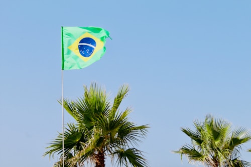 A Brazilian flag waves prominently on a flagpole, set against a clear blue sky. Below the flag are several palm trees with lush green fronds.