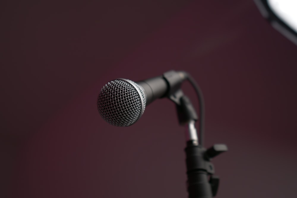gray and black microphone