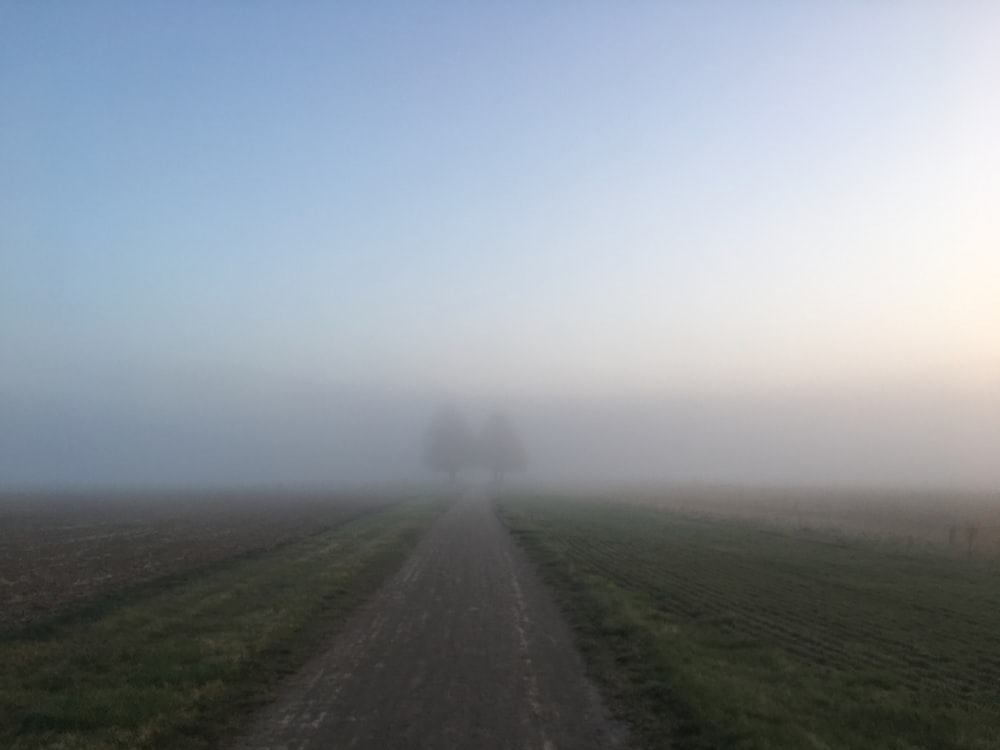 grey concrete road on a foggy weather