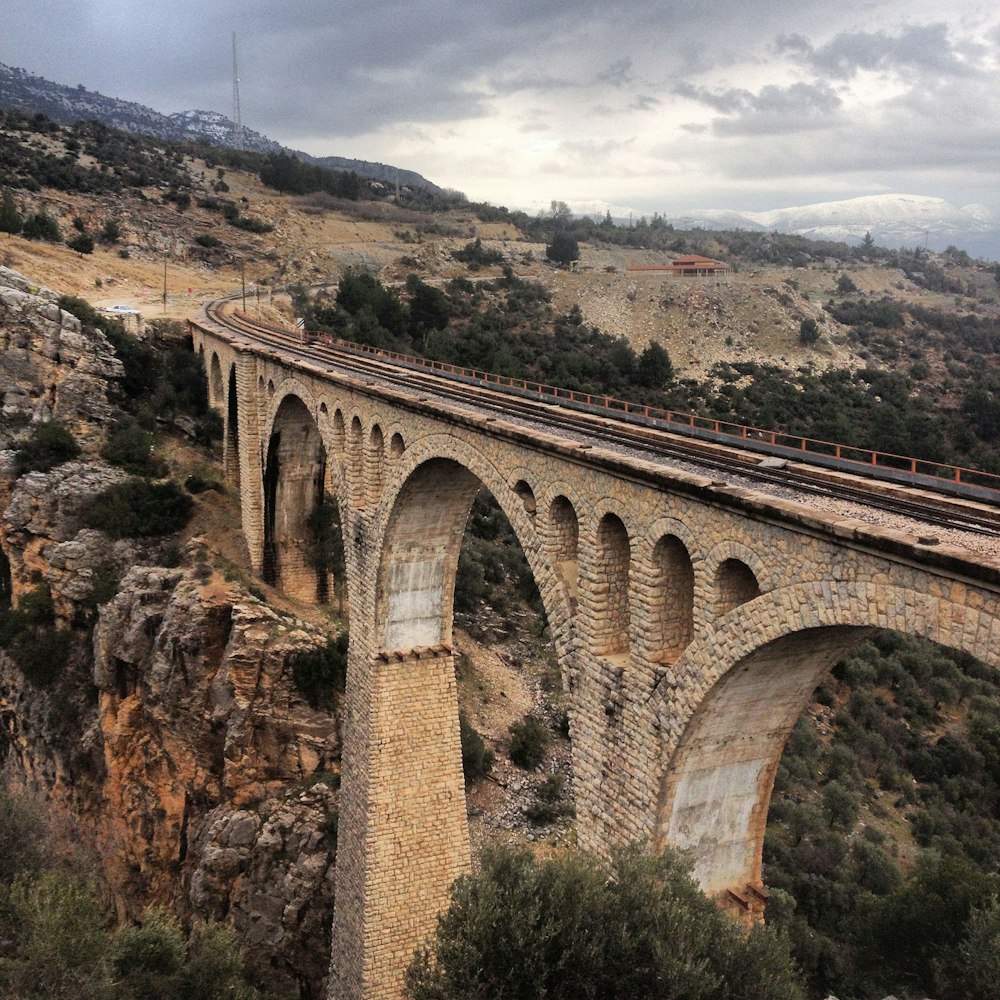 ponte de concreto marrom sobre árvores verdes e marrons