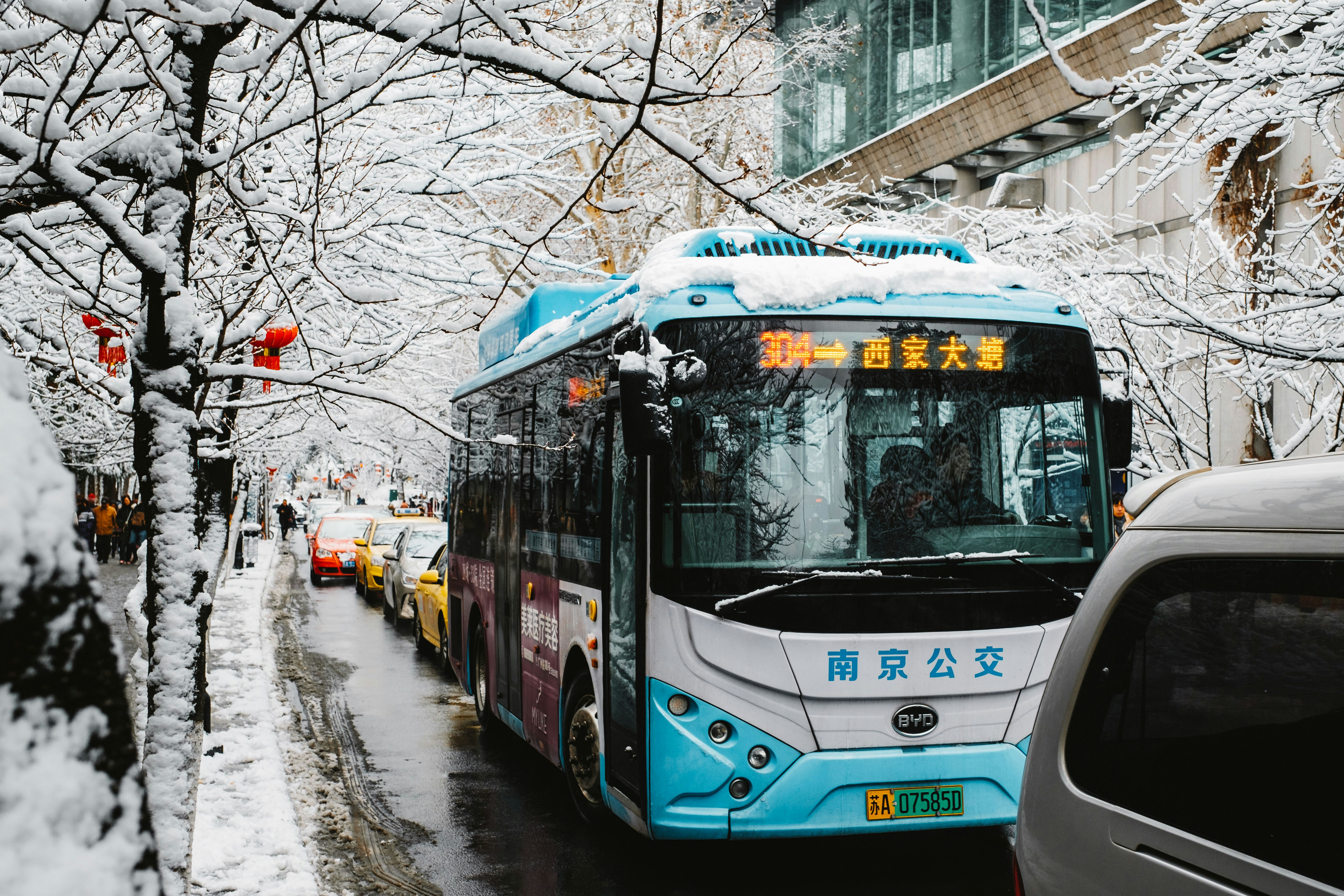 北京小客车指标管理系统
